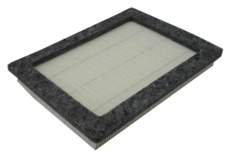 Pentius Automotive PAB9687 Air Filter